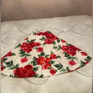 Pinup Girls Clothing Skirt